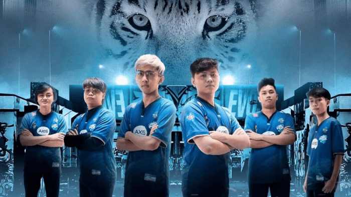 Peran Manajemen Tim dalam Esports Profesional